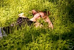 http://grogsphoto.smugmug.com/photos/257810153_bpdGN-Th.jpg